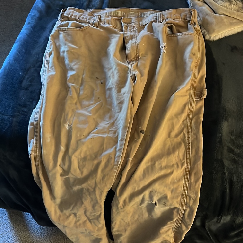 dickies - Picture 2 of 3